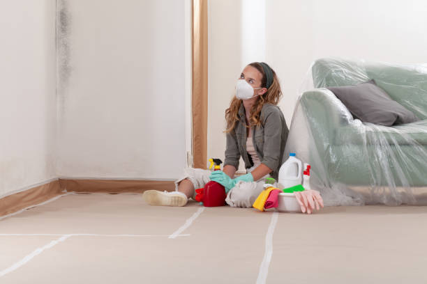 Reliable Mold Testing contractor in Lake Leelanau, MI by WQB Mold Removal